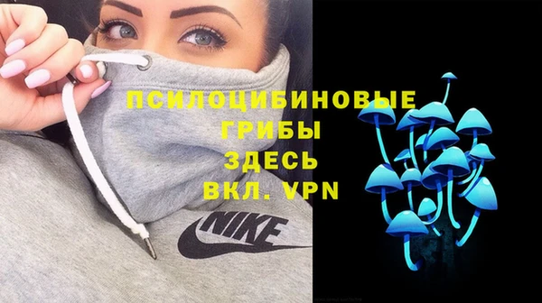 марки nbome Козельск