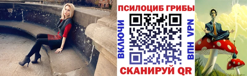 Псилоцибиновые грибы мицелий  Купить где  Калининск 